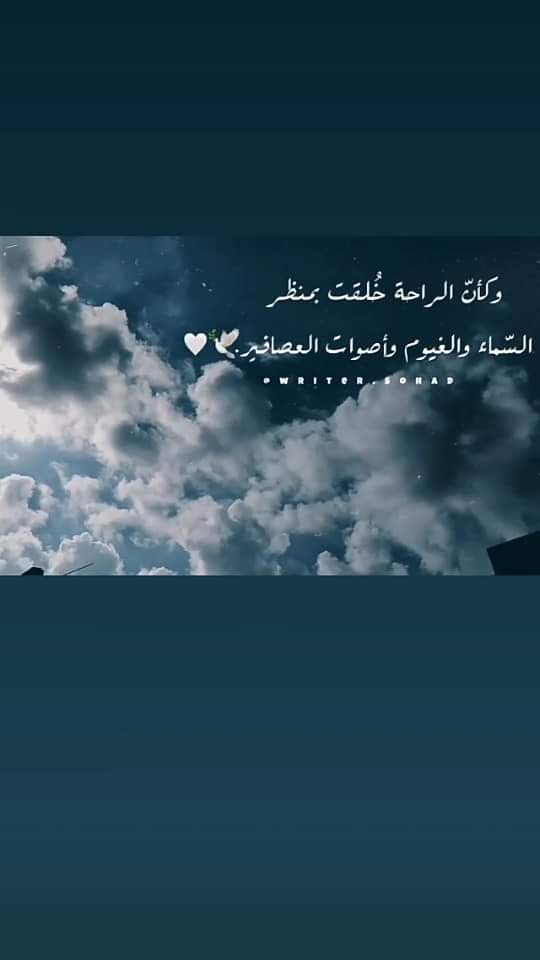 ���� ���� ������ �� ���� ������