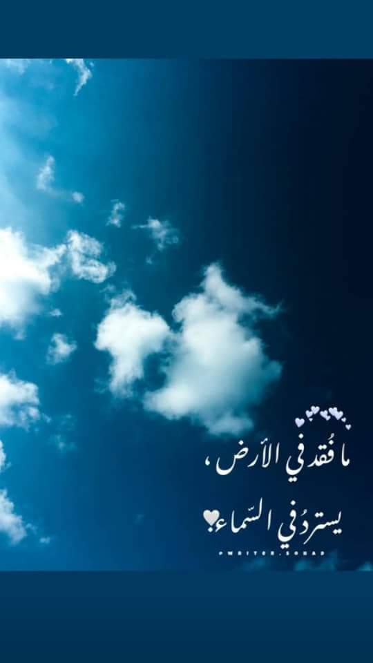 ���� ���� ������ �� ���� ������