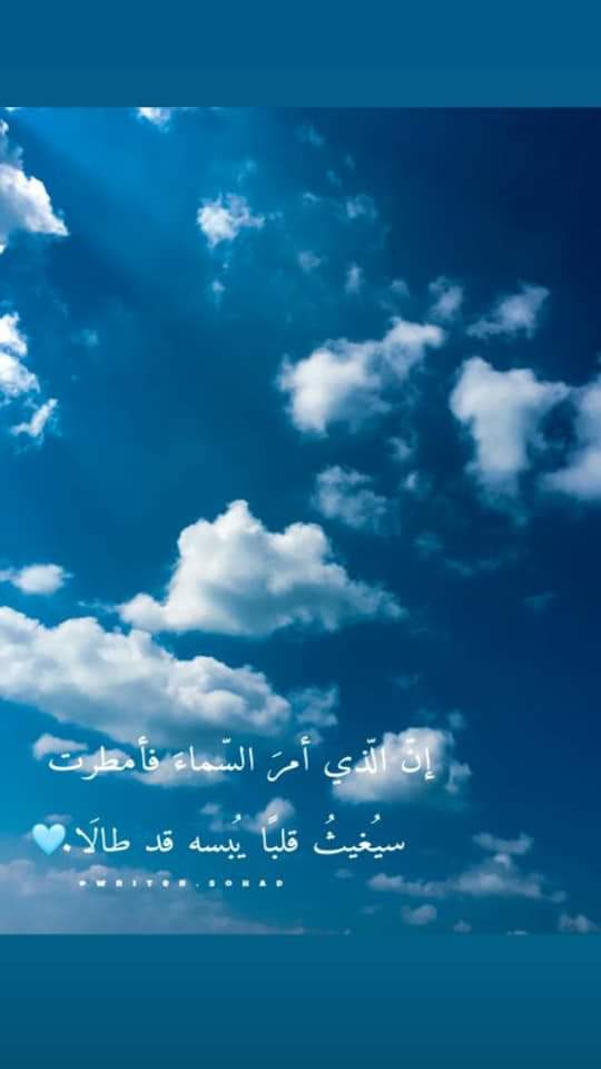 ���� ���� ������ �� ���� ������