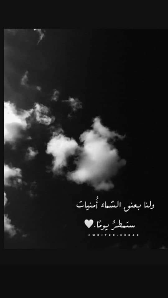 ���� ���� ������ �� ���� ������