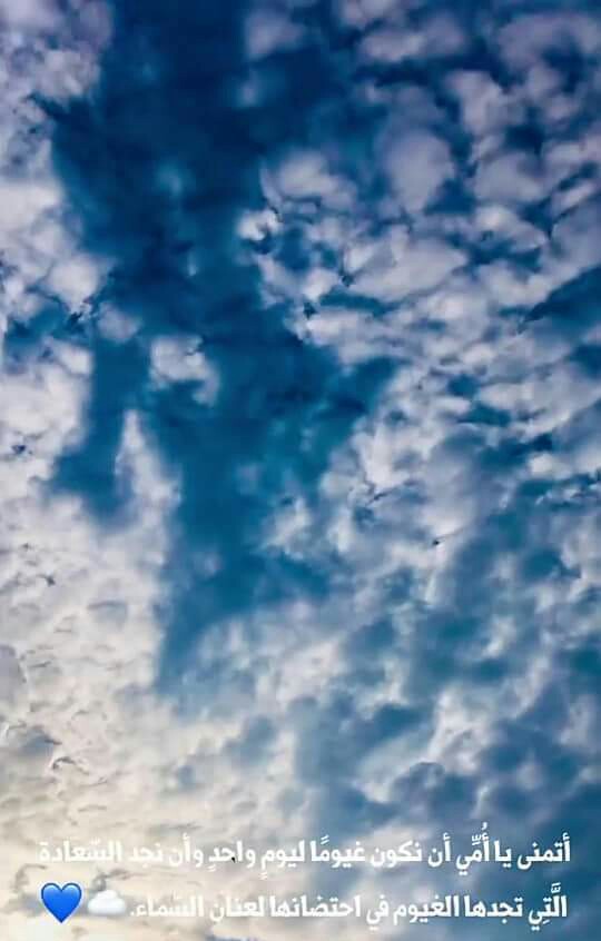 ���� ���� ������ �� ���� ������