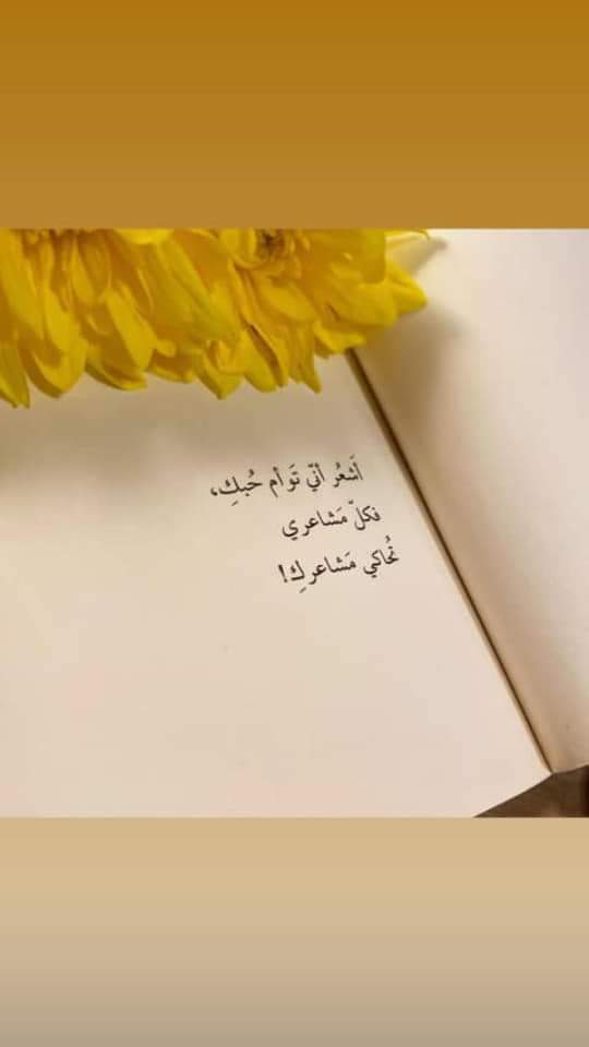 ���� ���� ������ �� ���� ������