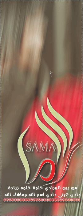 ���� ���� ������ �� ���� ������