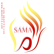 ���� ���� ������ �� ���� ������