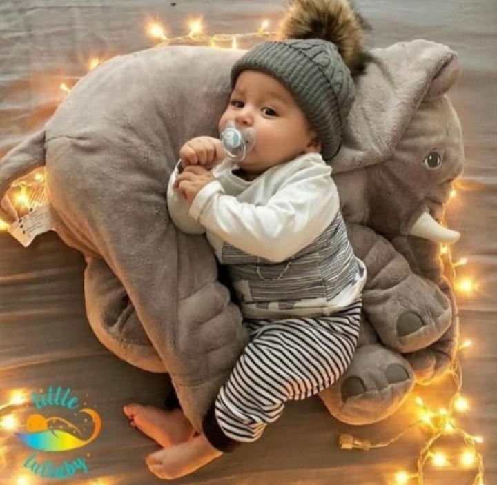 ���� ���� ������ �� ���� ������