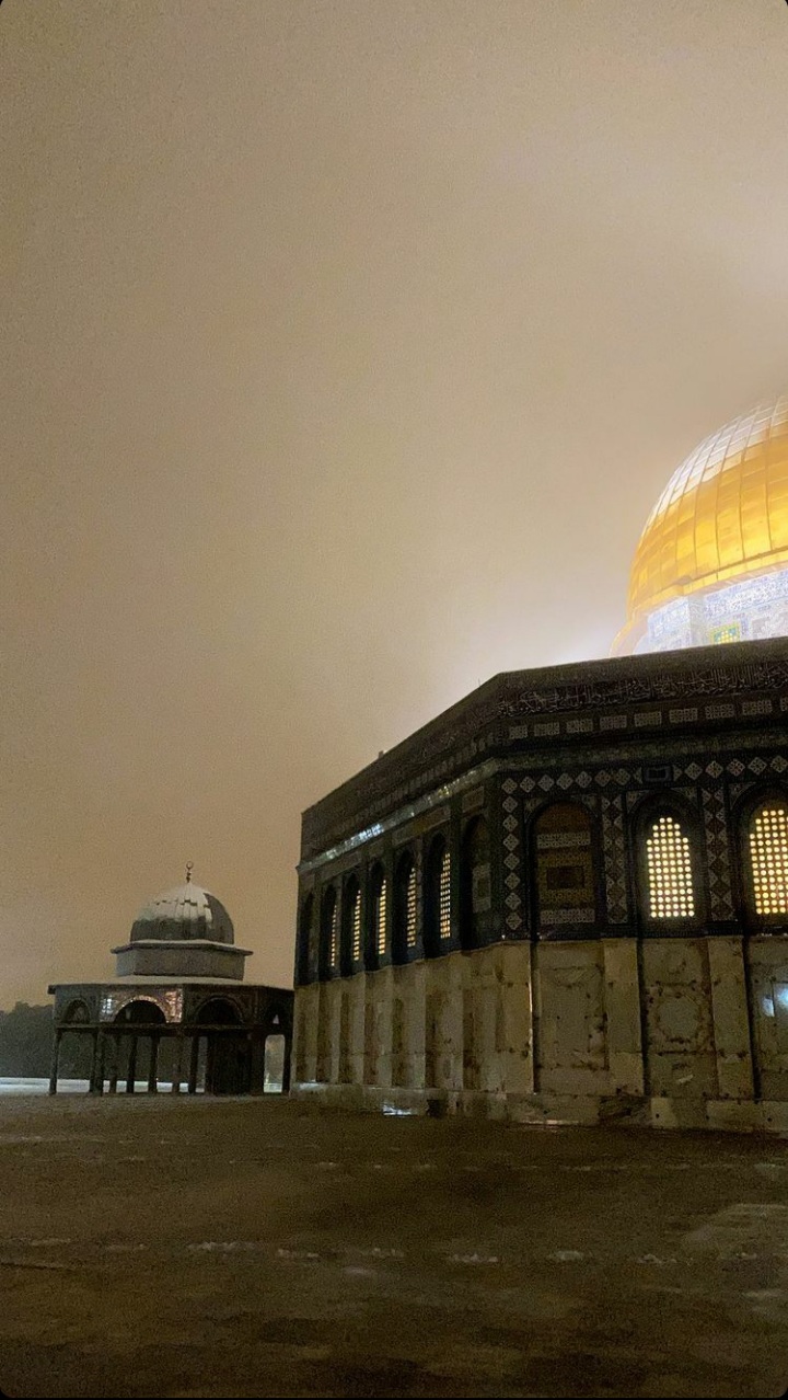 ���� ���� ������ �� ���� ������