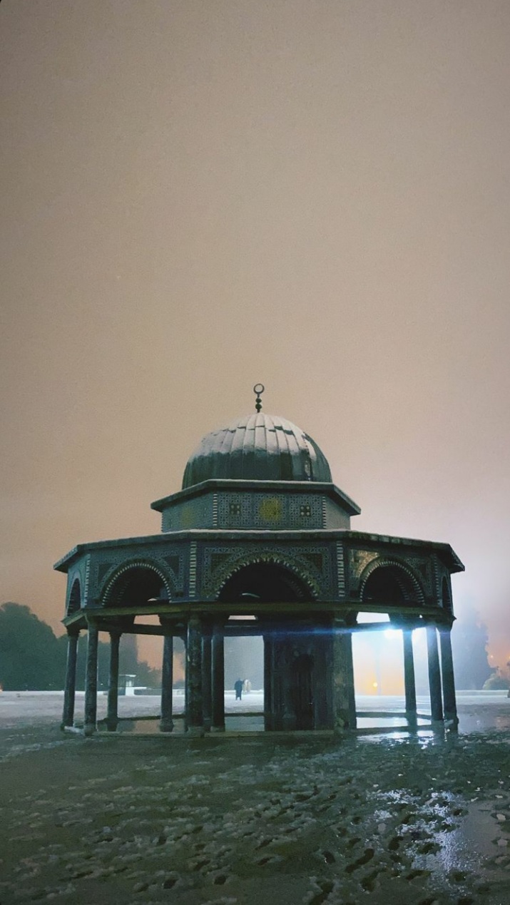 ���� ���� ������ �� ���� ������