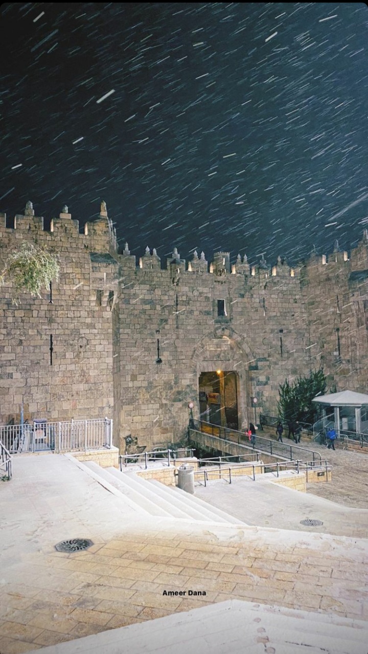 ���� ���� ������ �� ���� ������