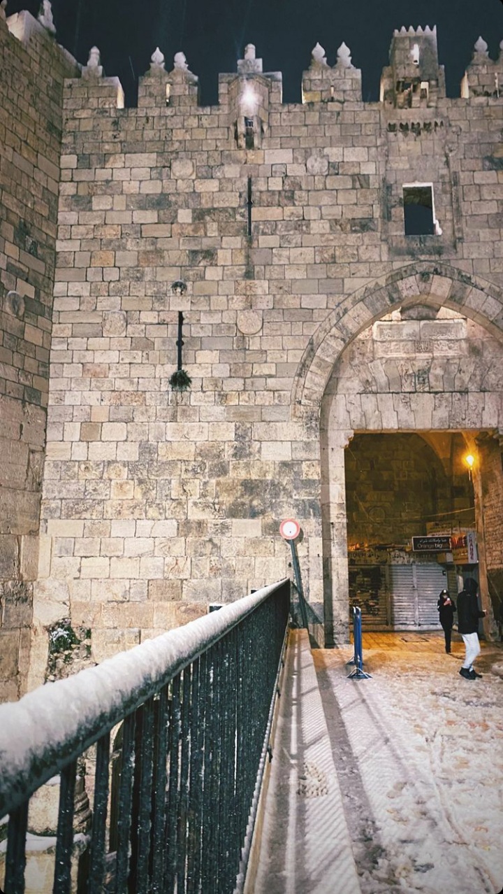 ���� ���� ������ �� ���� ������