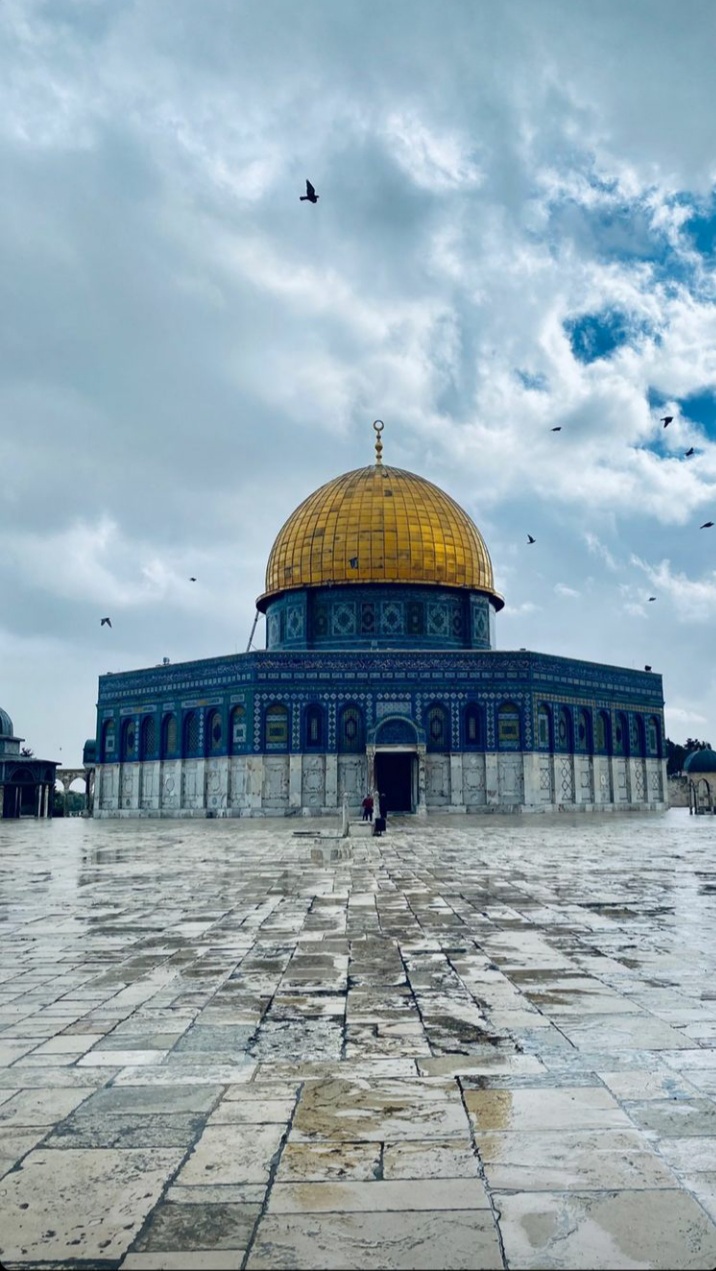 ���� ���� ������ �� ���� ������