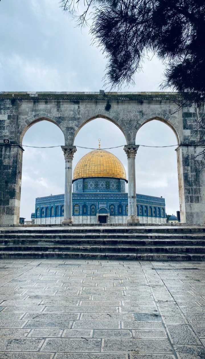 ���� ���� ������ �� ���� ������