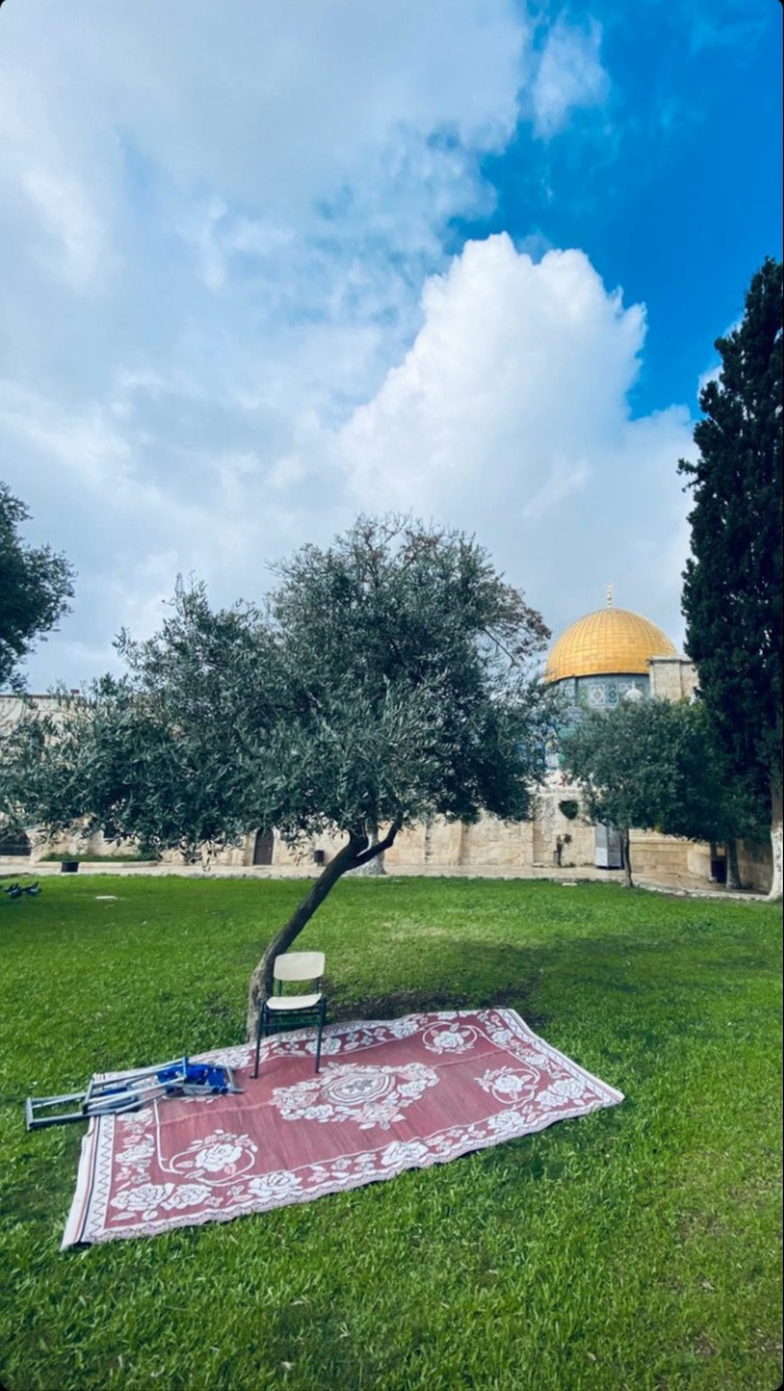 ���� ���� ������ �� ���� ������