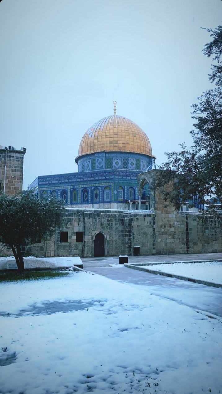 ���� ���� ������ �� ���� ������