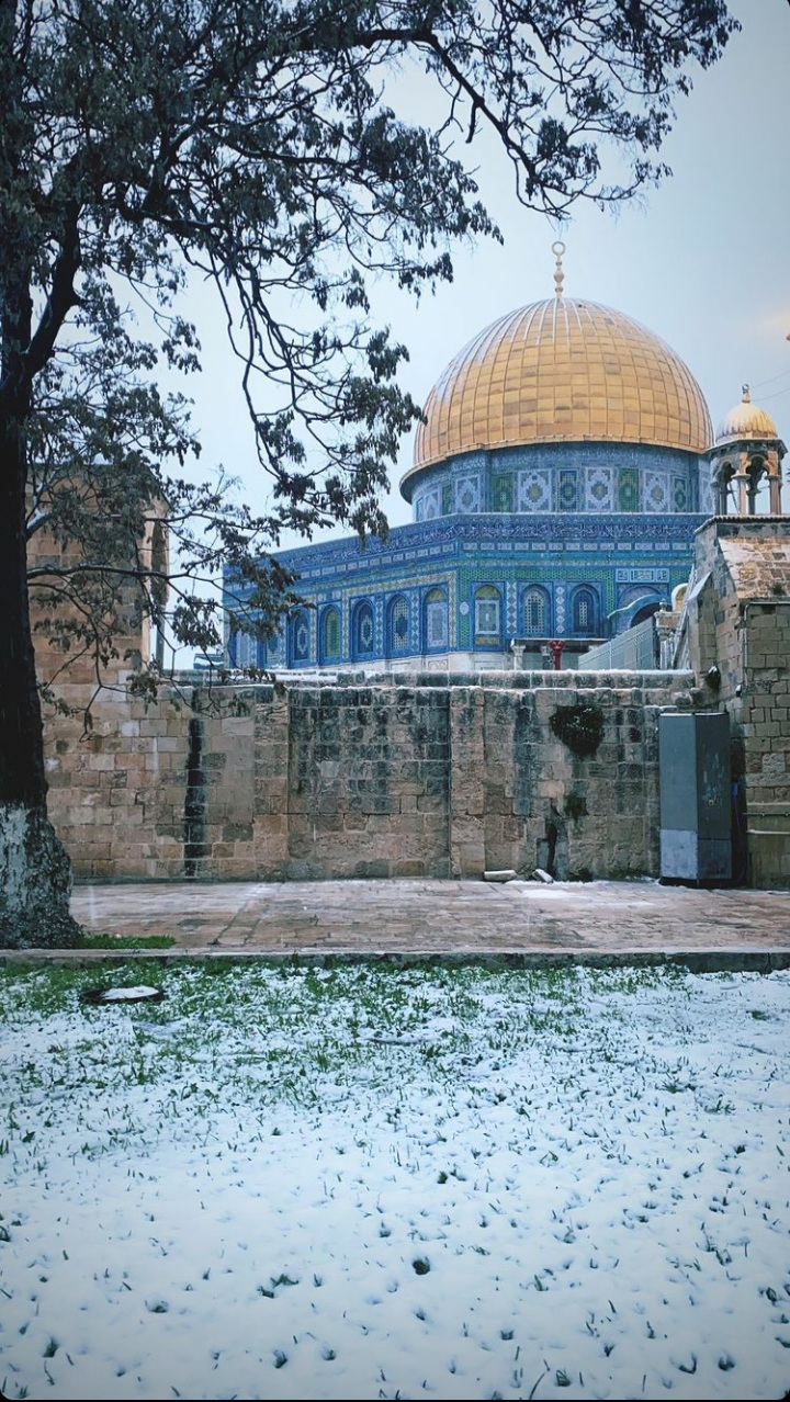 ���� ���� ������ �� ���� ������