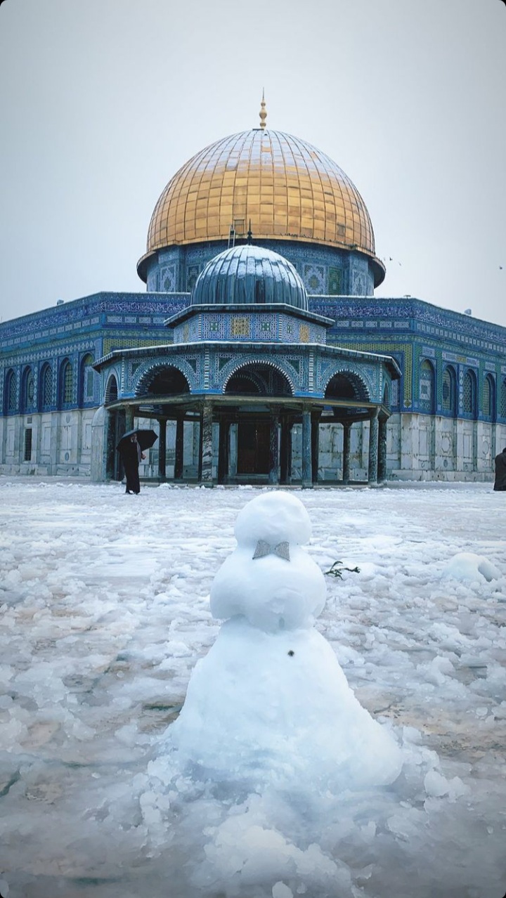 ���� ���� ������ �� ���� ������