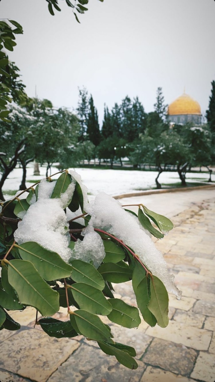 ���� ���� ������ �� ���� ������