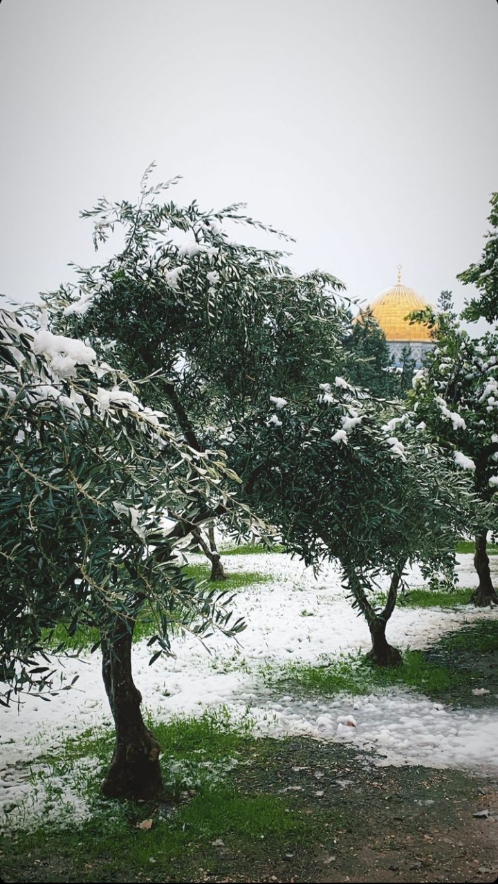 ���� ���� ������ �� ���� ������