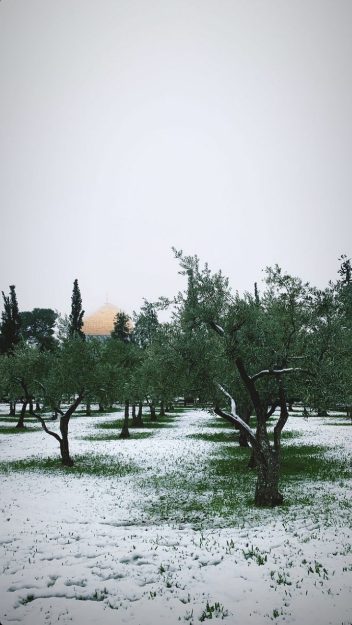 ���� ���� ������ �� ���� ������