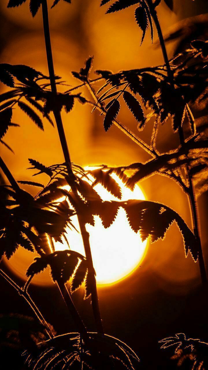 ���� ���� ������ �� ���� ������