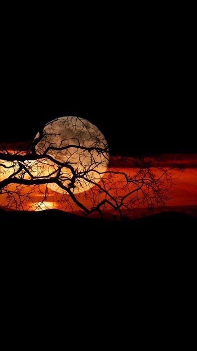 ���� ���� ������ �� ���� ������