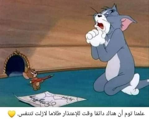 ���� ���� ������ �� ���� ������