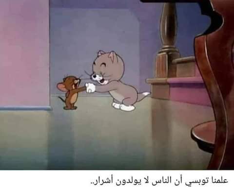 ���� ���� ������ �� ���� ������