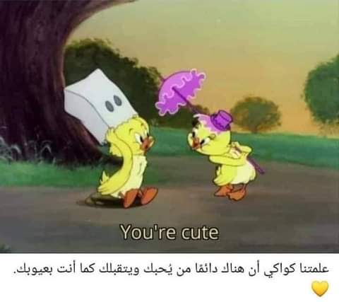 ���� ���� ������ �� ���� ������