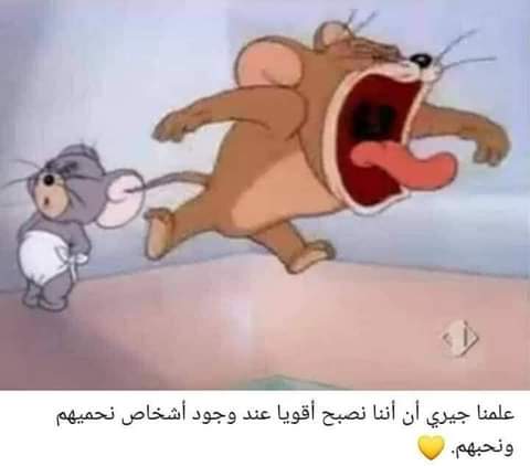 ���� ���� ������ �� ���� ������