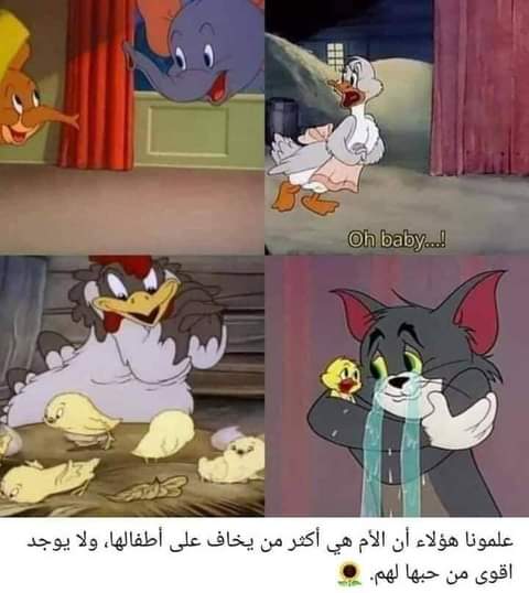 ���� ���� ������ �� ���� ������