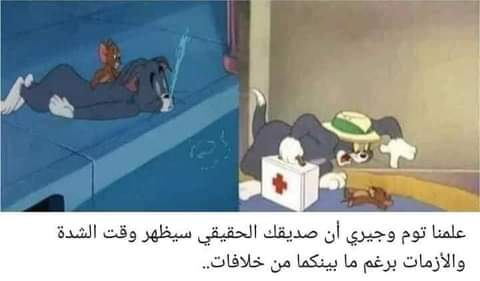 ���� ���� ������ �� ���� ������