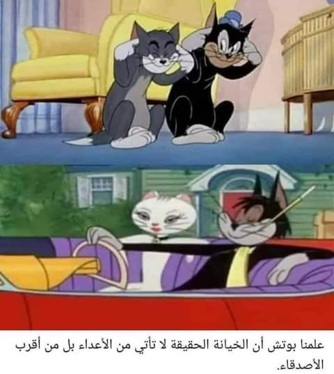 ���� ���� ������ �� ���� ������