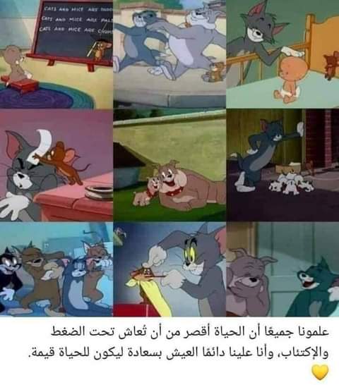 ���� ���� ������ �� ���� ������