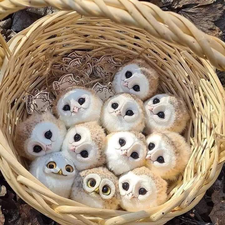 ���� ���� ������ �� ���� ������