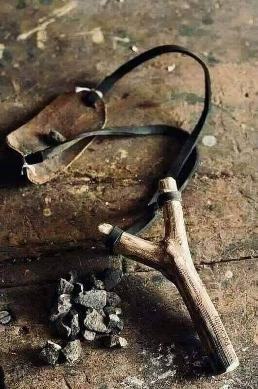 ���� ���� ������ �� ���� ������