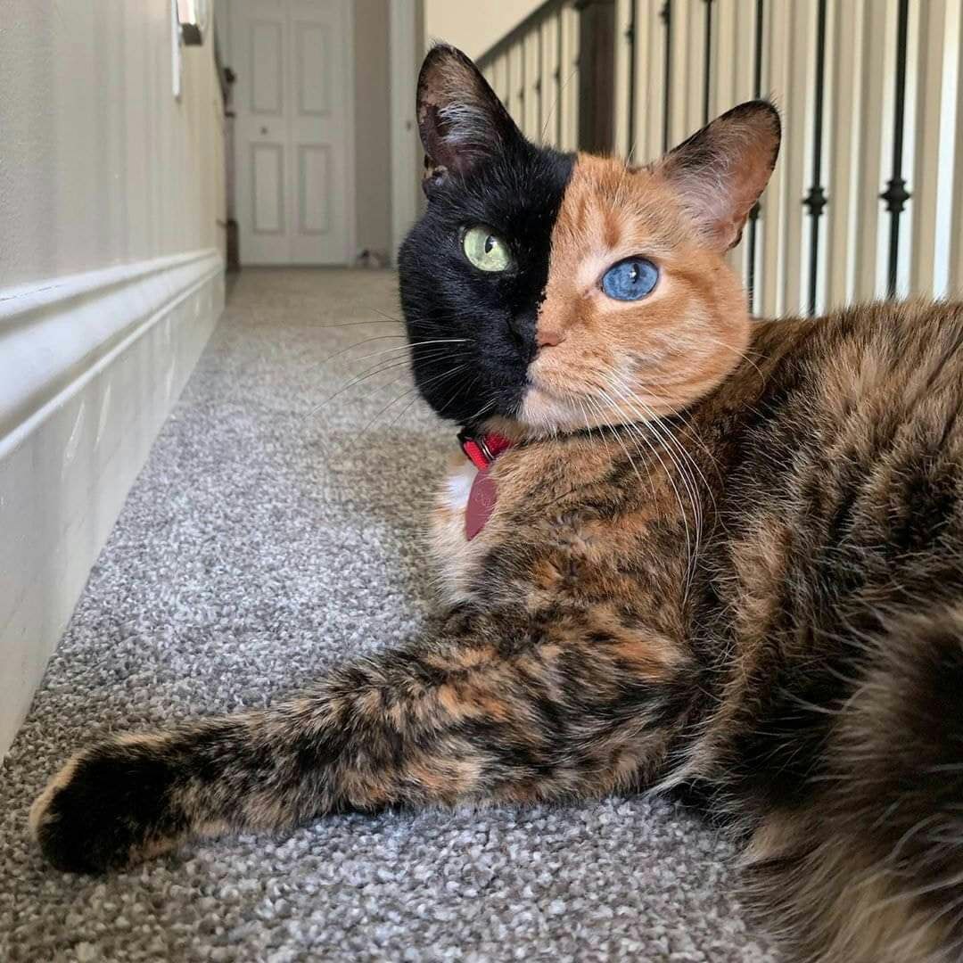 ���� ���� ������ �� ���� ������