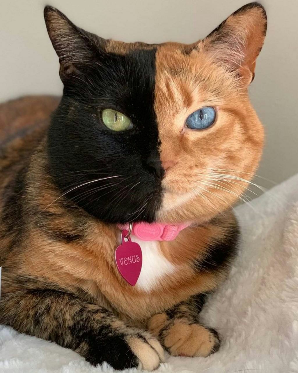 ���� ���� ������ �� ���� ������