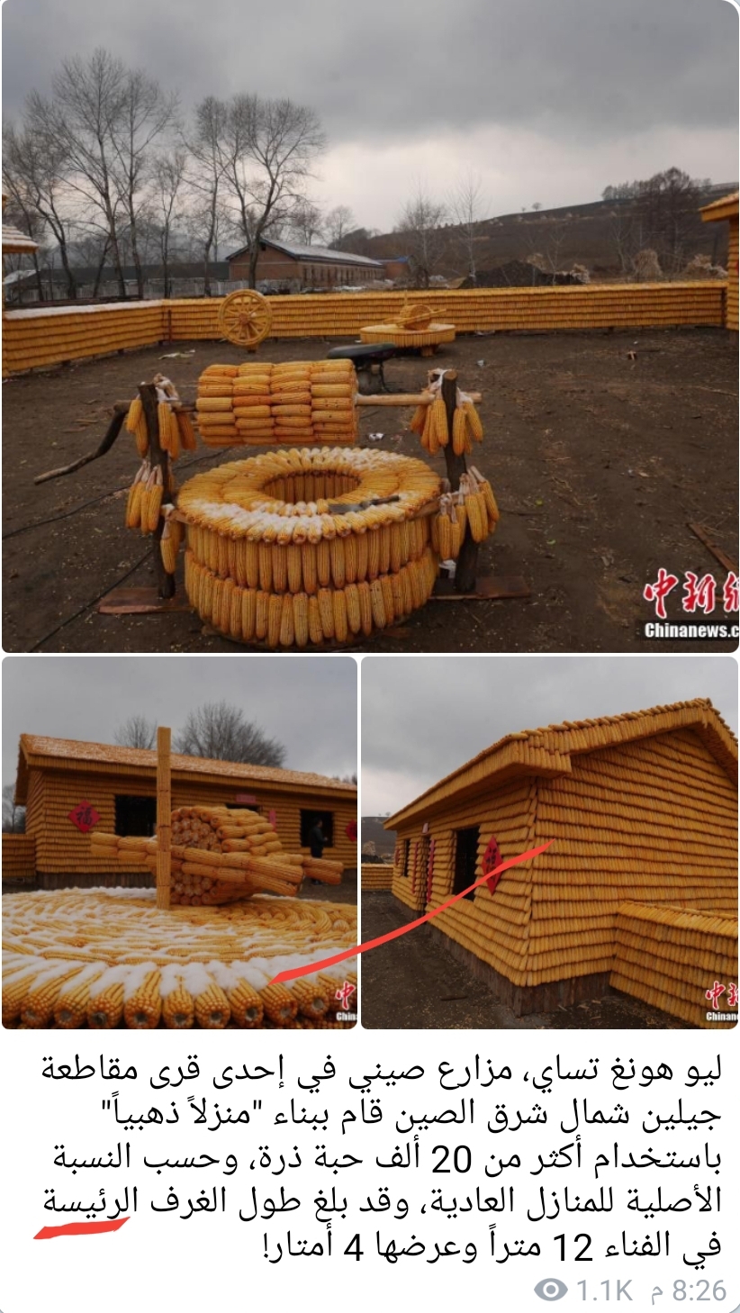 ���� ���� ������ �� ���� ������