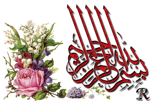bntpal.com_162409952