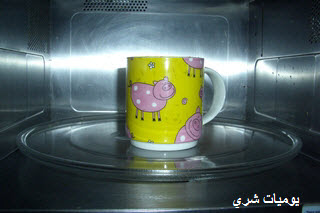  5 bntpal.com_162410728