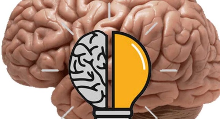 bntpal.com_162568921