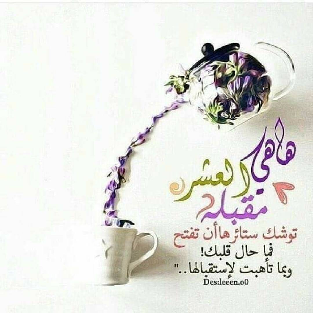  ❤ ❤ bntpal.com_162600060