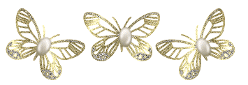 bntpal.com_162645416