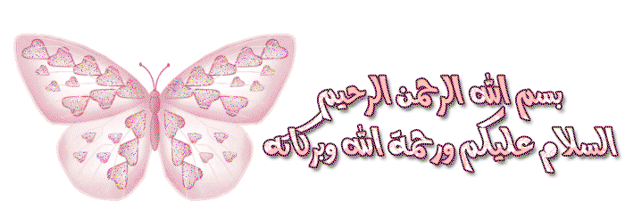 bntpal.com_162645500