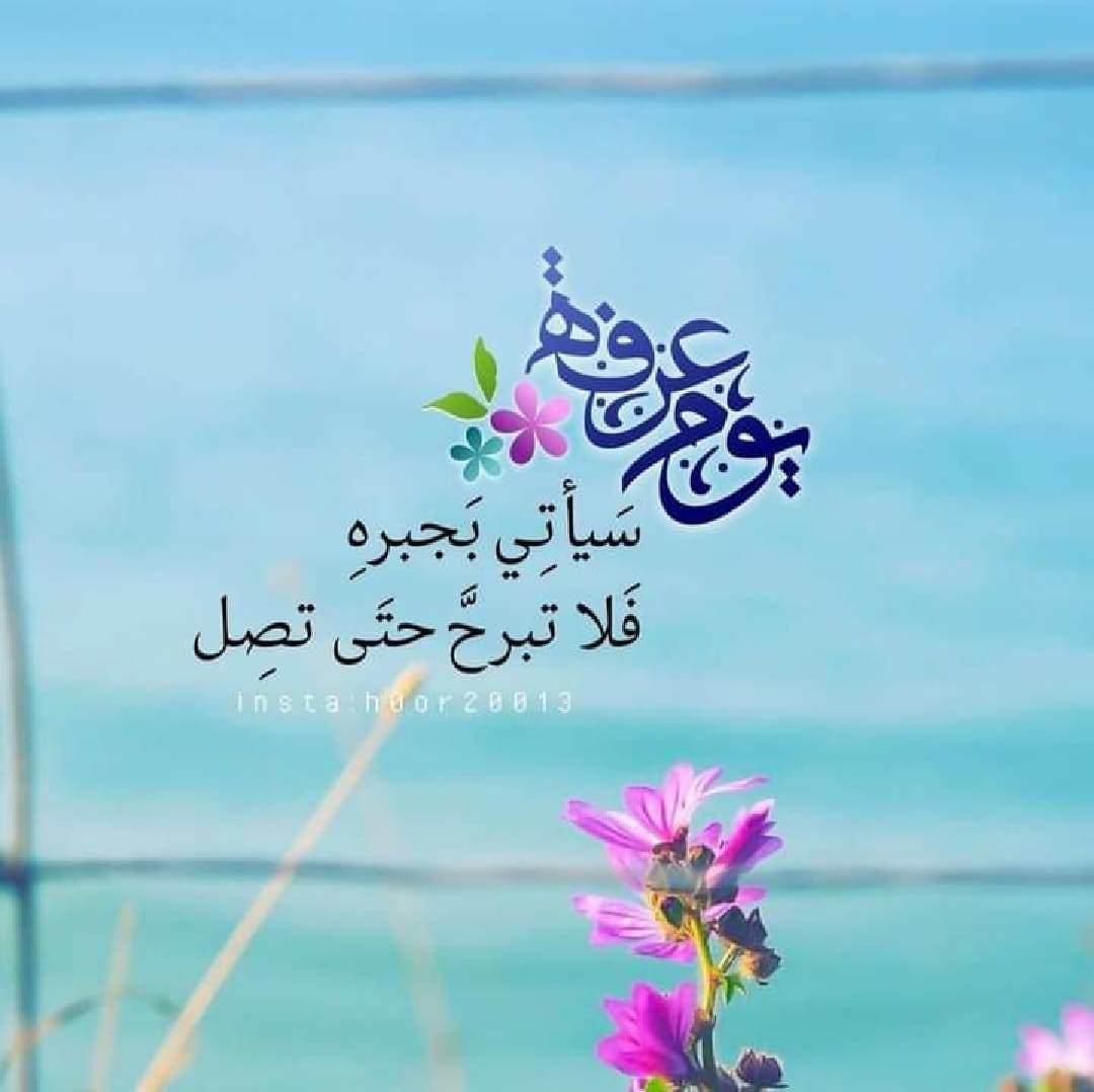 ❤ bntpal.com_162666224