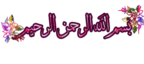 bntpal.com_162726942