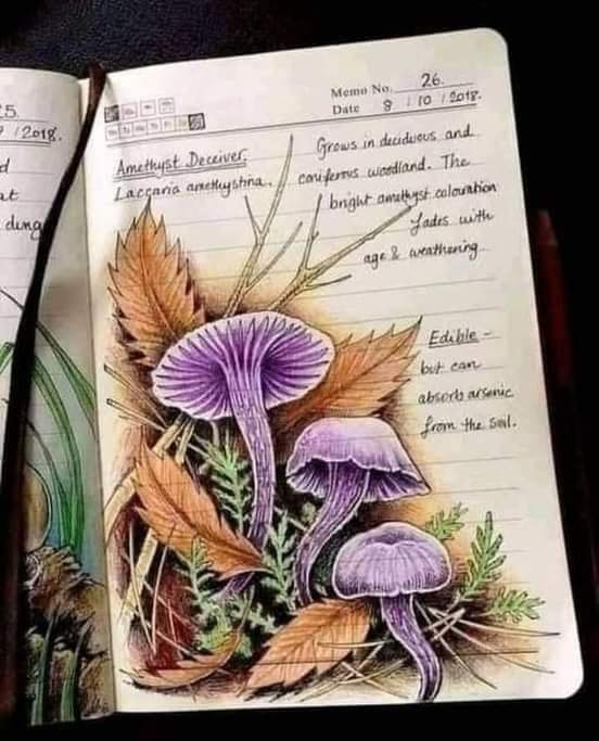 ���� ���� ������ �� ���� ������