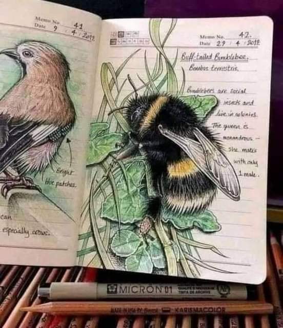 ���� ���� ������ �� ���� ������