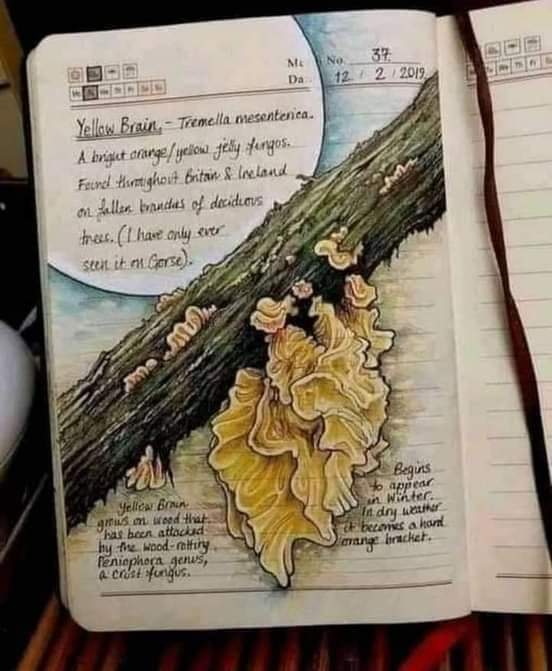 ���� ���� ������ �� ���� ������