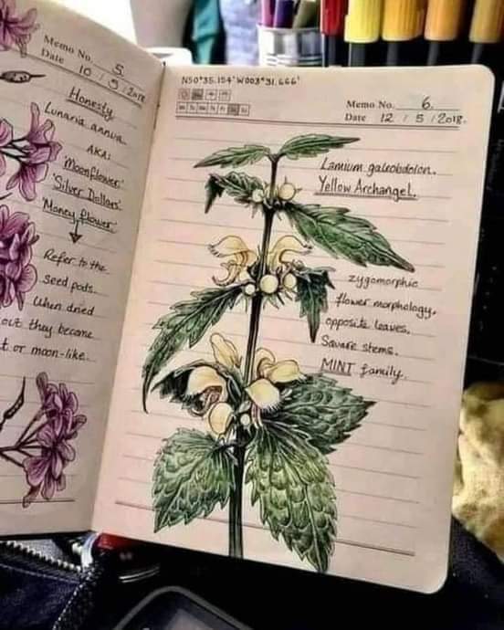 ���� ���� ������ �� ���� ������