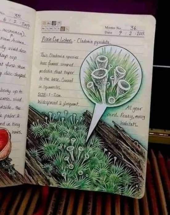 ���� ���� ������ �� ���� ������